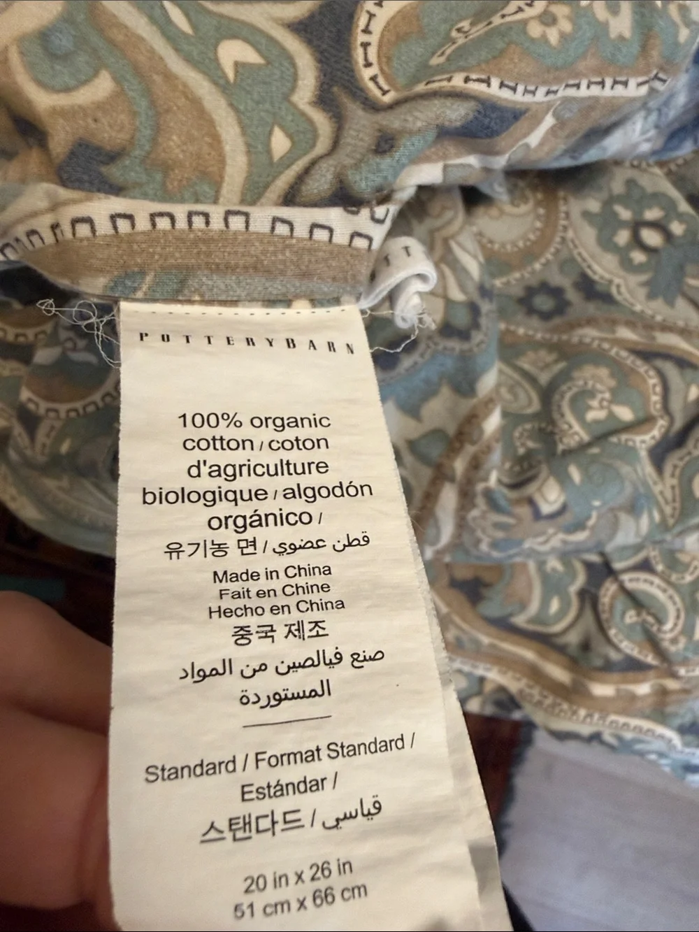 Pottery Barn Paisley Cotton Duvet Cover in Blue and Cream